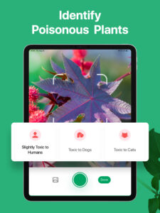 PictureThis - Plant Identifier 3.78 PictureThis - Plant Identifier 3.78