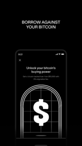 STRIKE: BUY & HOLD BITCOIN v2.17 STRIKE: BUY & HOLD BITCOIN v2.17
