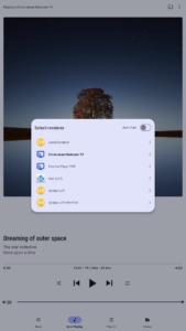 BubbleUPnP for DLNA/Chromecast 3.6.8.2 BubbleUPnP for DLNA/Chromecast 3.6.8.2