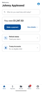 IRS 5.6.6