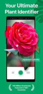 PictureThis - Plant Identifier 3.25 PictureThis - Plant Identifier 3.25