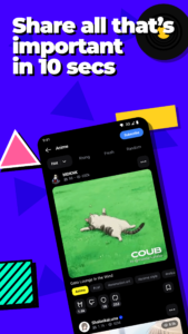 Coub: looped video with sound 6.0.3