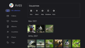 Aves Gallery (github version) 1.11.6 (Android 5.0+) Aves Gallery (github version) 1.11.6 (Android 5.0+)