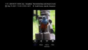 Aves Gallery (github version) 1.11.6 (Android 5.0+) Aves Gallery (github version) 1.11.6 (Android 5.0+)