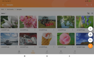 Qfile Pro 4.6.2.1001