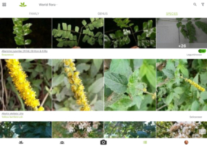 PlantNet Plant Identification 3.17.4