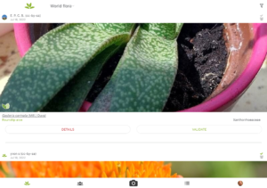 PlantNet Plant Identification 3.17.4