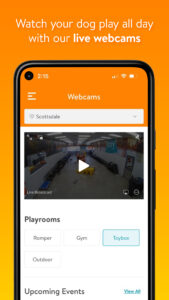 Dogtopia 2.0.9 (120-640dpi) (Android 10+)
