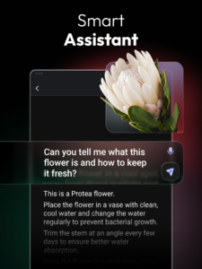 ChatOn - AI Chat Bot Assistant 1.99.7-860 ChatOn - AI Chat Bot Assistant 1.99.7-860