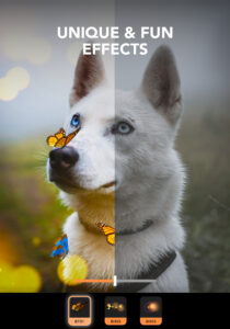 Motionleap by Lightricks 1.7.1 Motionleap by Lightricks 1.7.1