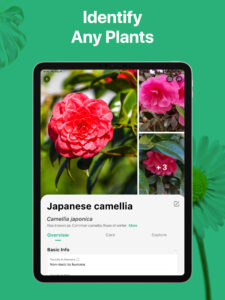 PictureThis - Plant Identifier 3.78 PictureThis - Plant Identifier 3.78
