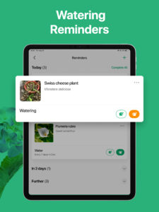 PictureThis - Plant Identifier 3.78 PictureThis - Plant Identifier 3.78