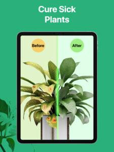 PictureThis - Plant Identifier 3.78 PictureThis - Plant Identifier 3.78