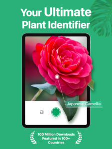 PictureThis - Plant Identifier 3.78 PictureThis - Plant Identifier 3.78