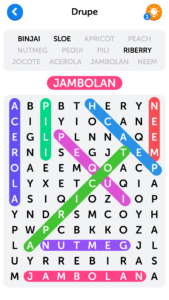 Word Search 2.2.8