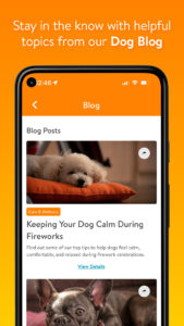 Dogtopia 2.0.9 (120-640dpi) (Android 10+)