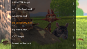 VLC for Android (f-droid version) 3.5.2 VLC for Android (f-droid version) 3.5.2