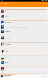 VLC for Android (f-droid version) 3.5.2 VLC for Android (f-droid version) 3.5.2